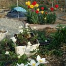 하늘바람꽃농원 이미지