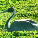 철원정비타운 이미지