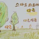피누스스토어다온