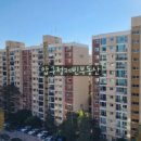 압구정-114 이미지