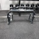 다윗 피트니스 이미지