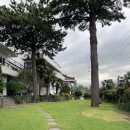 애월 고즈넉 | 제주애월카페 한옥 감성 고효 강아지동반 후기