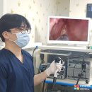 용강동물병원 이미지