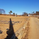 도청대로(동) 이미지