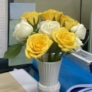 디어퐁퐁 이미지