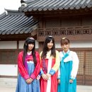 [AKB48] 부모님께 소개시키고픈 3인조 프렌치키스 한국당일투어 한복사진과 인터뷰 이미지