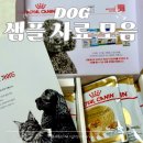 닥터캐닌 | 강아지 사료 샘플 사이트 신청 방법 모음 닥터독 더마독 로얄캐닌 후기