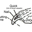 우리집앞동물병원 이미지