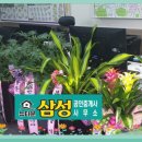 광명1동 주민센터 이미지