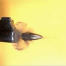 신화킹덤 이미지