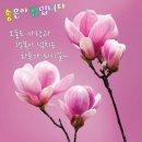 작은행복 이미지