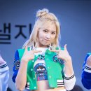 에이스게임장 이미지