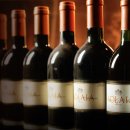 안티노리 이미지