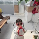 정해농장 | 춘천 가볼만한곳 아이랑 딸기따기체험 농장알로록 후기