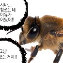 물만난고기초앤정 | 6월의 류: 러브앤프리 편