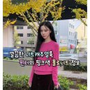 Pink Company(핑크 컴퍼니) | 윈터의 핑크색 폴로니트 정보 깔끔한 니트 캐주얼룩(폴로랄프로렌/ralphlauren)