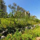 아리수로 97길 이미지