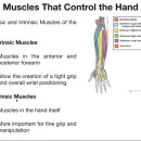 새터 한의원 이미지