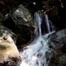 문수산산림욕장 이미지