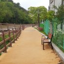 후동저류지 장미학습원 앞(2) | (부산 일광해수욕장)(1편)일광 도서관 좋은점과 불편한점