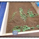 부여청계농장 이미지