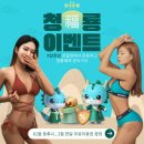 로얄컨설팅 이미지