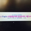 포에라 Daum카페