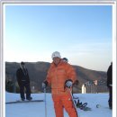 양지파인리조트 이미지