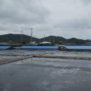 바둑여객 이미지