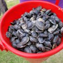 오투오션2 이미지