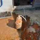 세정농원 이미지