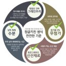 [체험후기]고양이 전용 생식 정글키친 치킨포캣 급여후기(부제 : 생식은 어렵지 않아요)
