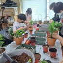 고덕중학교 이미지