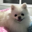 오늘도너는예쁘다 이미지