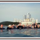 --- 7월 30일 (토) 해운대 바다 수영 모임 --- 이미지