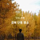 죽파리 경로당 | 경북 단풍 명소 l 경주 영양 고령으로 단풍 구경 가요