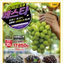 (주)바로이마트 이미지