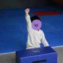 비봉 푸르미르태권도장 이미지