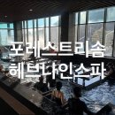 신진팜 | 제천 포레스트리솜 호텔 l 헤브나인스파 인피니트풀 수영장 꿀팁 내돈내산 총정리 후기