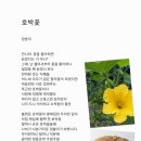 호박꽃 - 통영시 안개로 36-10 | 호박꽃