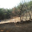 등서초등학교 이미지