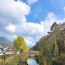 영산 만년교 | 창녕 영산만년교, 은행나무 노란빛과 함께하는 옛 선조의 건축 미학이 주는 아름다운 가을