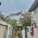 까치국밥 | 전주여행 한옥마을 한옥스테이 까치 추천 내돈내산 후기