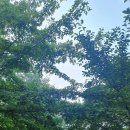 포옹남 - 마포구 서강로16길 67 | 포옹남