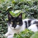 대왕농장1 이미지