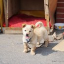 봄봄음악방 이미지