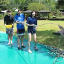 대벌농장 이미지