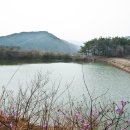 한평소류지 이미지