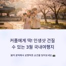 북면430 | 커플에게 딱! 인생샷 건질 수 있는 3월 국내여행지