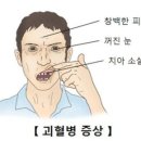 빅스짐율하2지구점